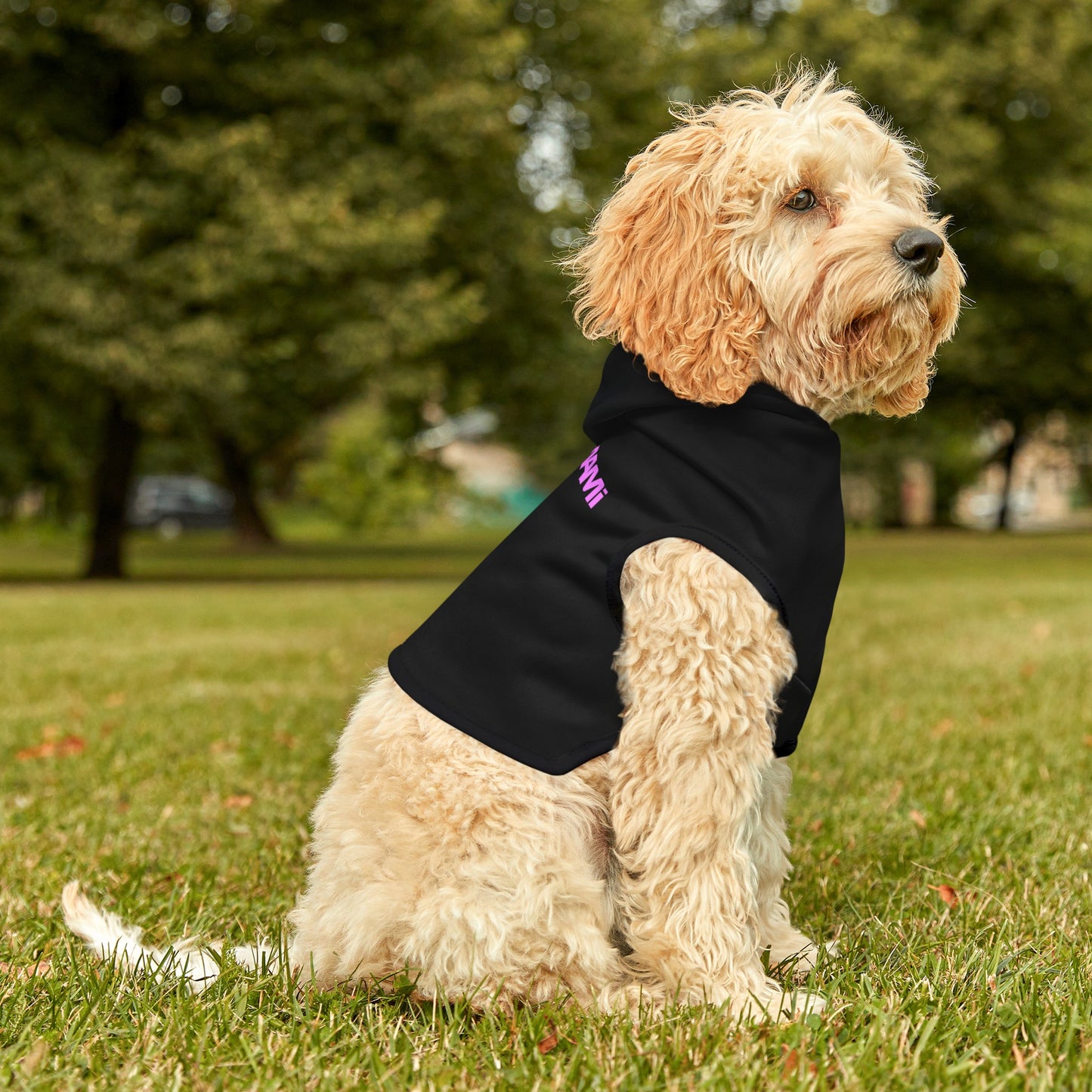 Matching Dog Hoodie